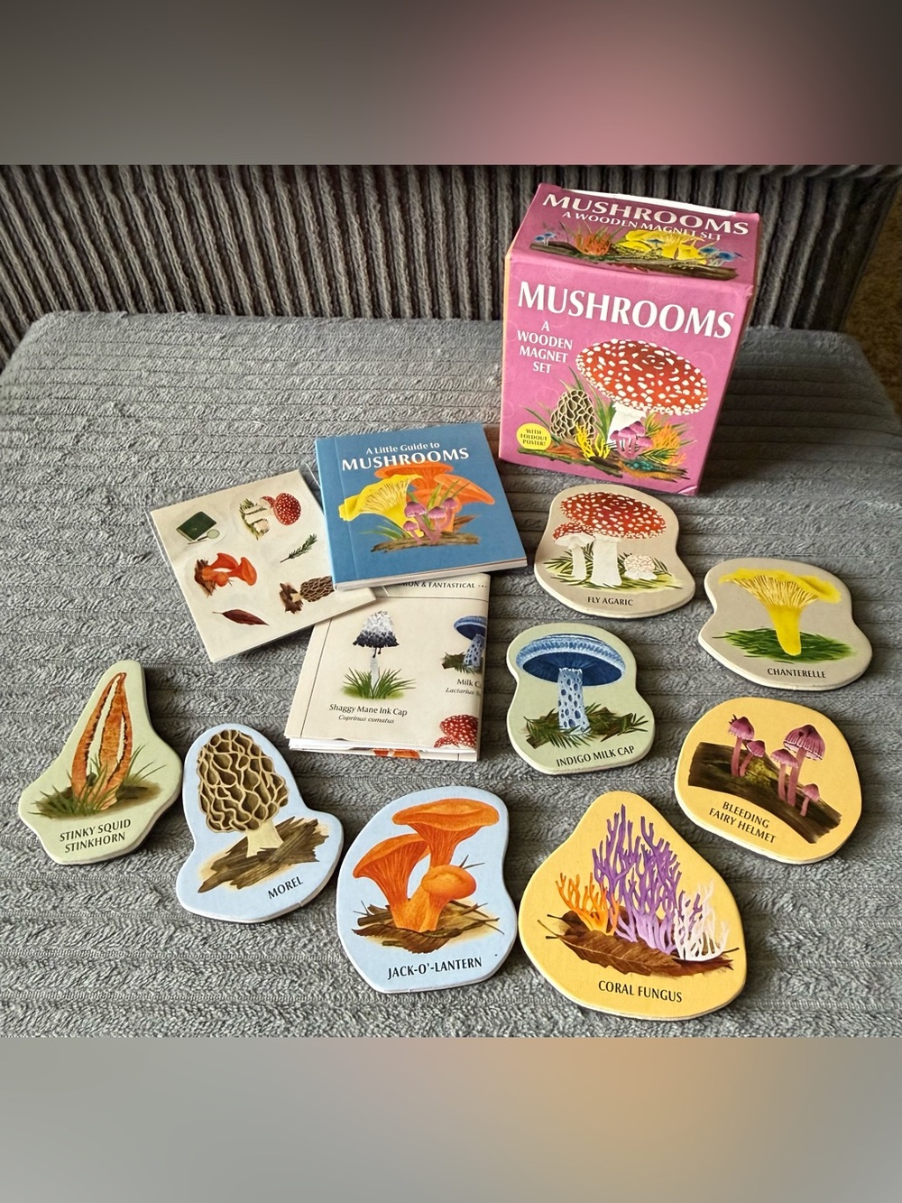 Lot of 8 Mushroom Wooden Magnets with Poster and Stickers Fungus Mini Book